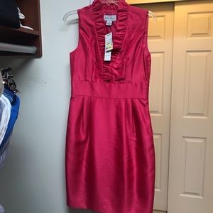 NWT Pink cocktail dress